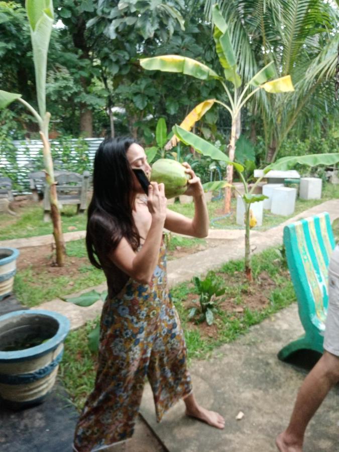 Sigiriya Village Home Stay 外观 照片