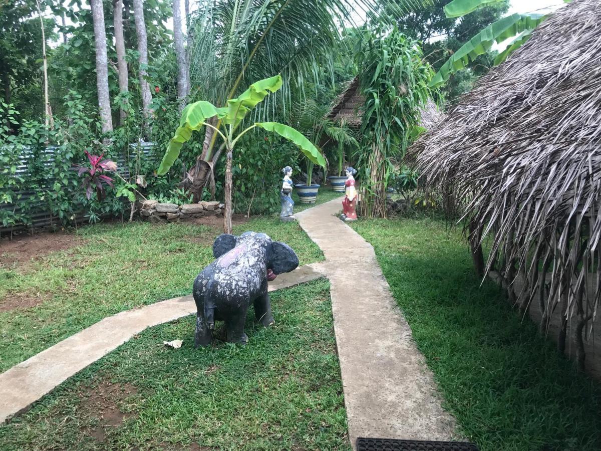 Sigiriya Village Home Stay 外观 照片