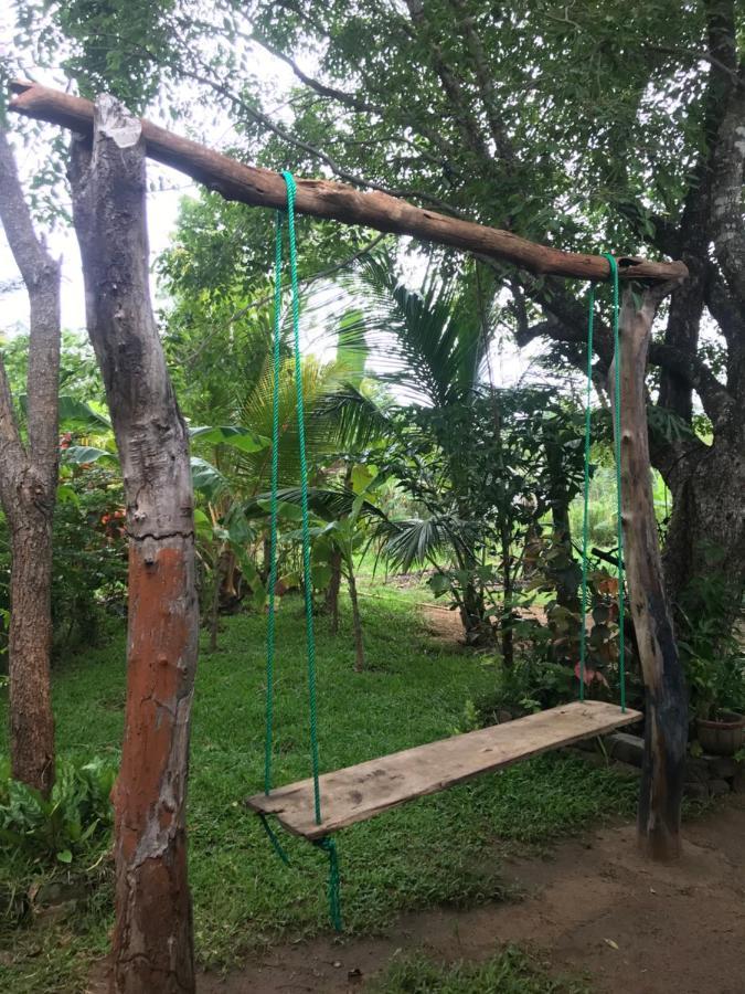 Sigiriya Village Home Stay 外观 照片