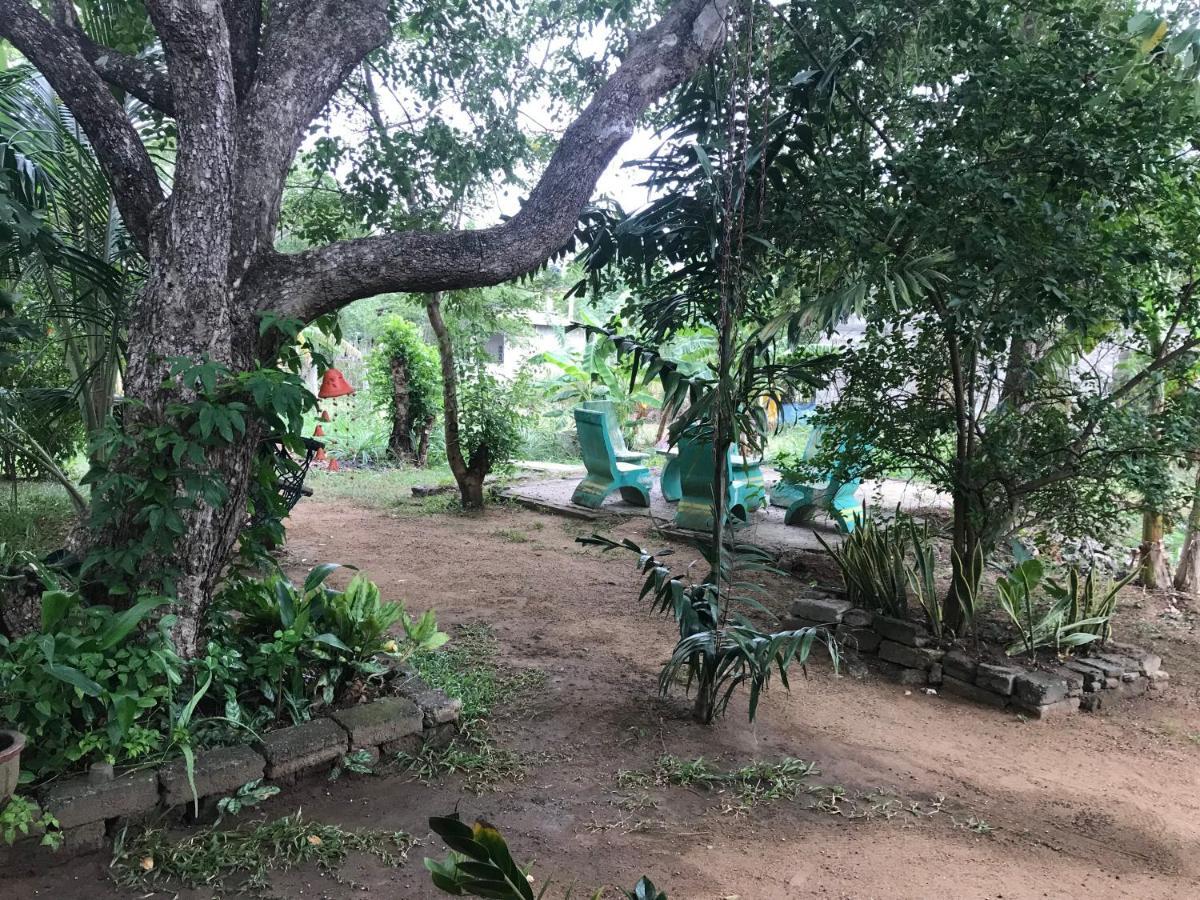 Sigiriya Village Home Stay 外观 照片