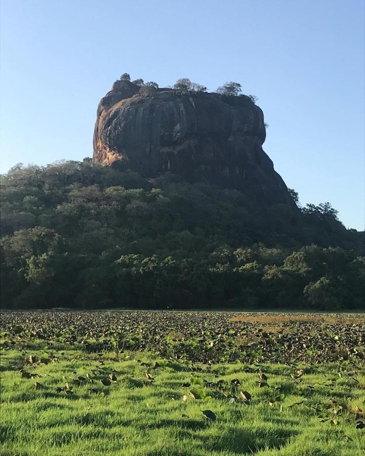 Sigiriya Village Home Stay 外观 照片