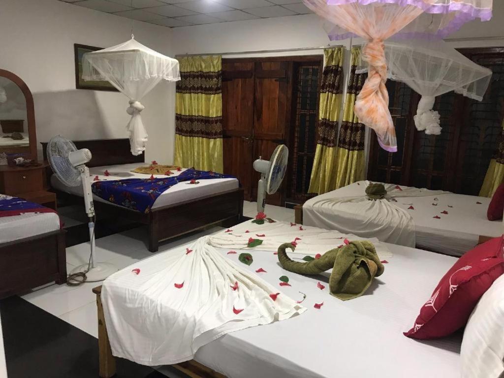 Sigiriya Village Home Stay 外观 照片