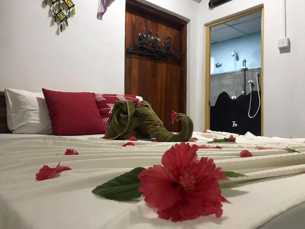 Sigiriya Village Home Stay 外观 照片
